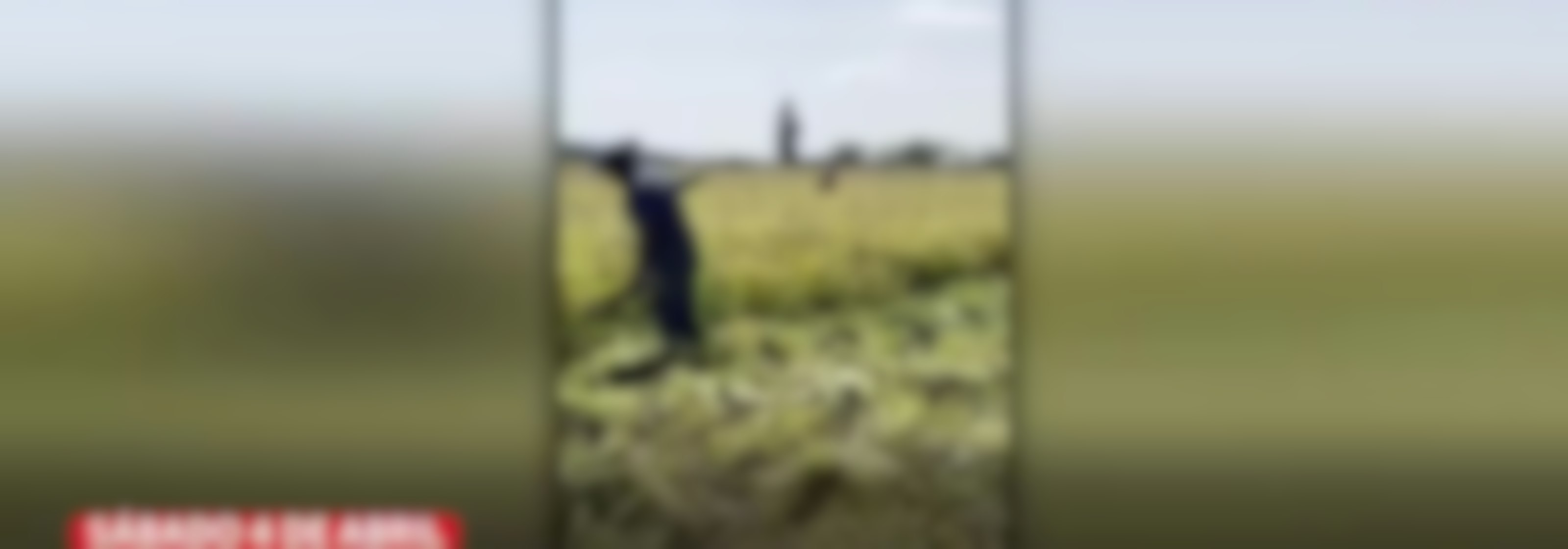 Panoramas familiares en el Maule