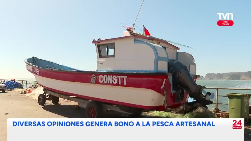 Opiniones divididas por anuncio de bono a la pesca artesanal