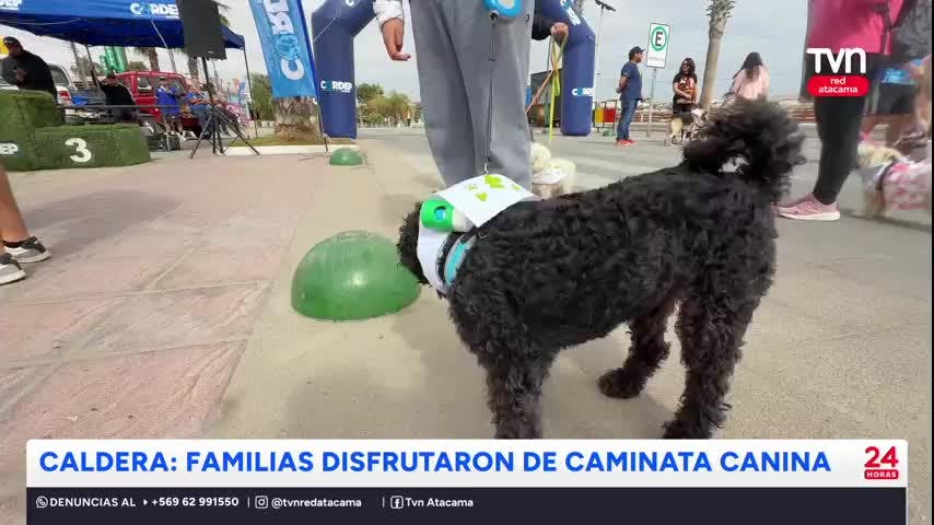 Caldera: Familias disfrutaron de caminata canina
