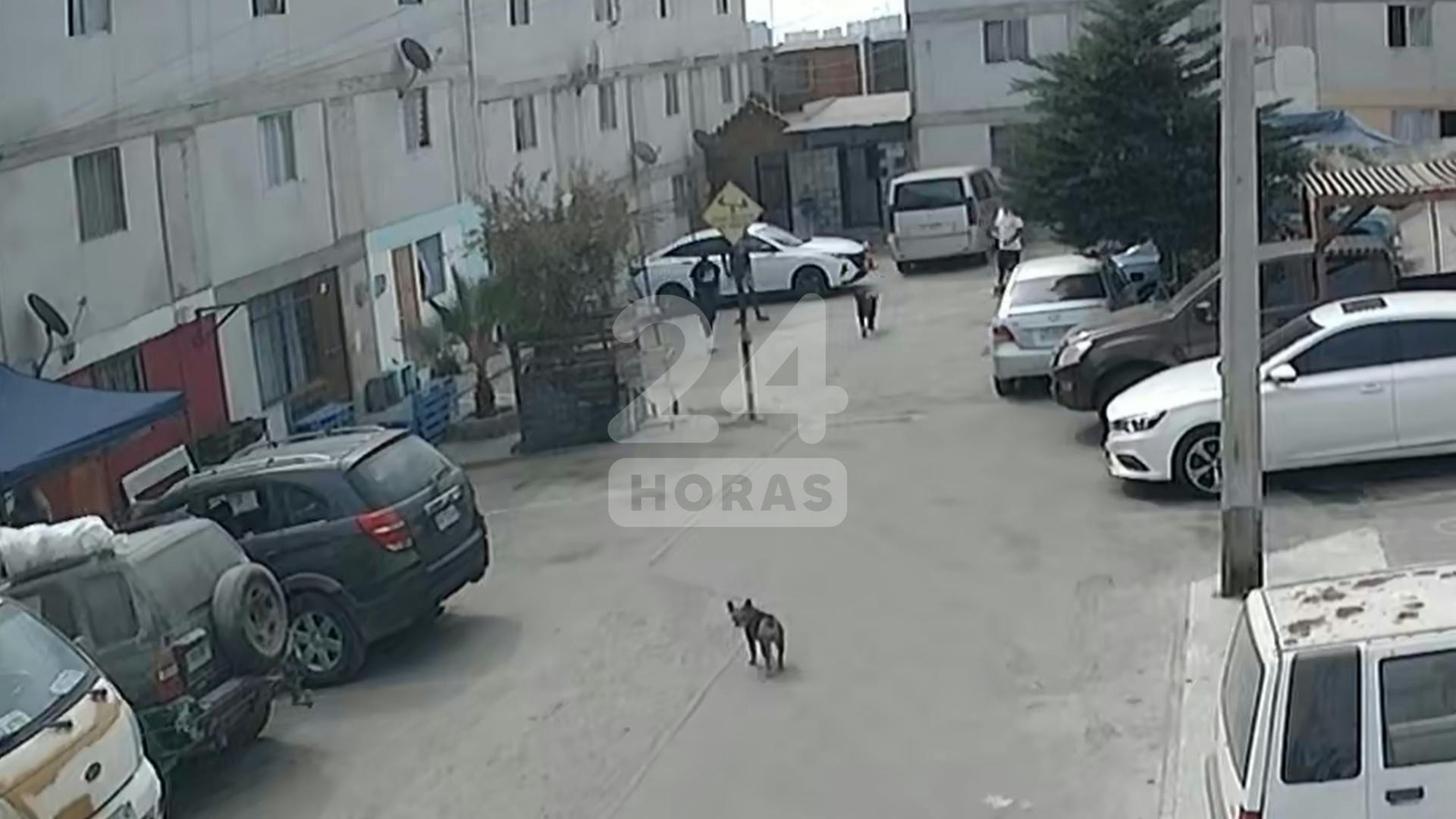 Autores de balacera siguen prófugos