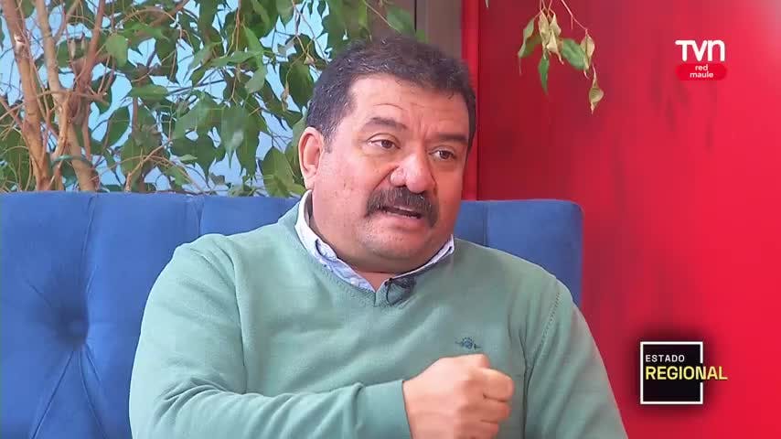Estado Regional Red Maule - Claudio Reyes Fuenzalida - Alcalde de Licantén
