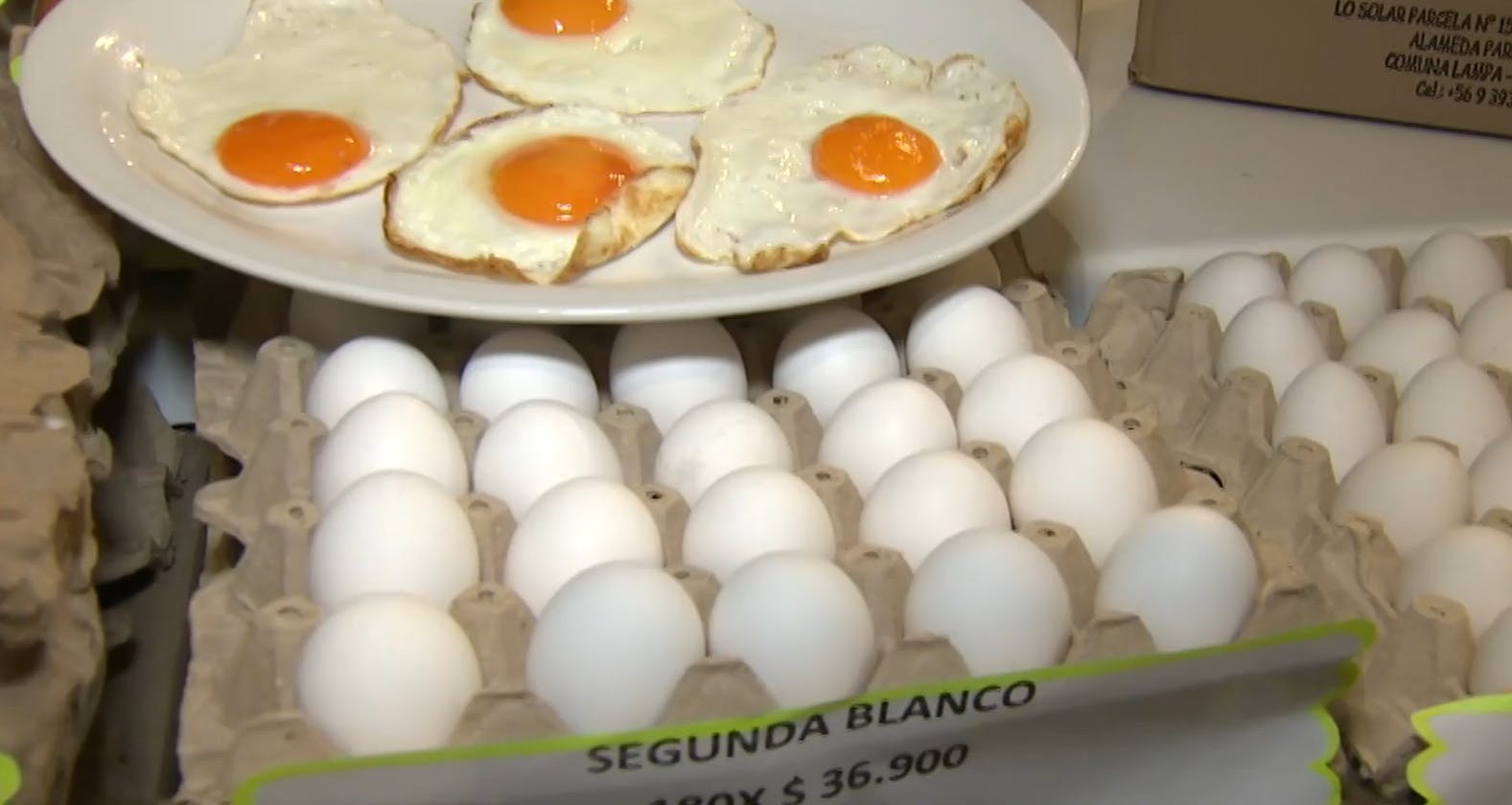¿Cómo reconocer un huevo en buen estado? 