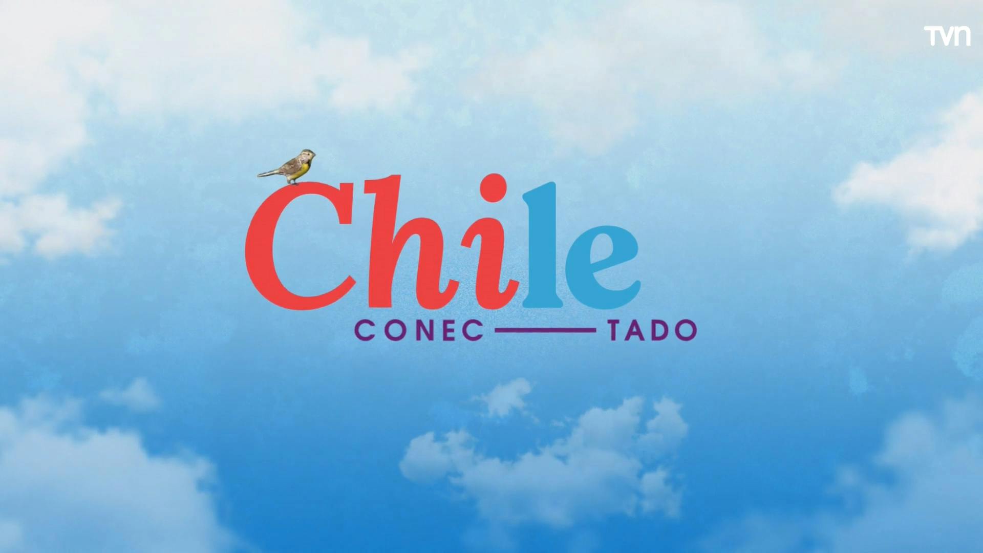  Chile Conectado llegó hasta San Clemente por los girasoles del Maule