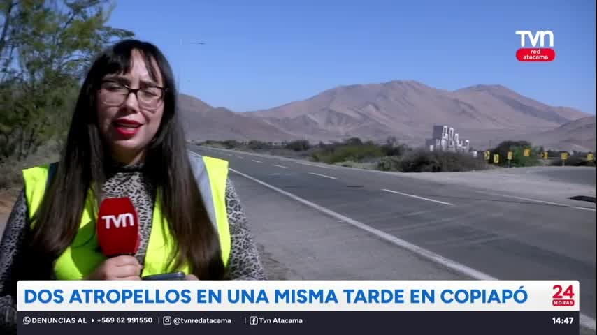 Dos atropellos en una misma tarde en Copiapó