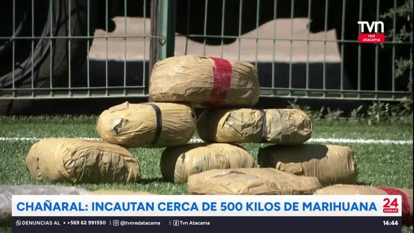 Chañaral: Incautan cerca de 500 kilos de marihuana