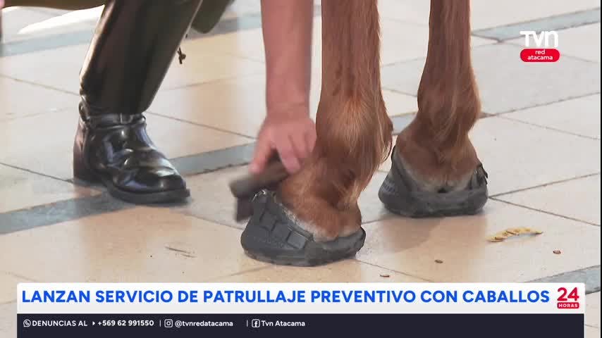 Copiapó: Inician patrullajes a caballo en el Kaukari