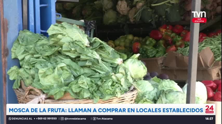 Mosca de la fruta: Llaman a comprar en locales establecidos