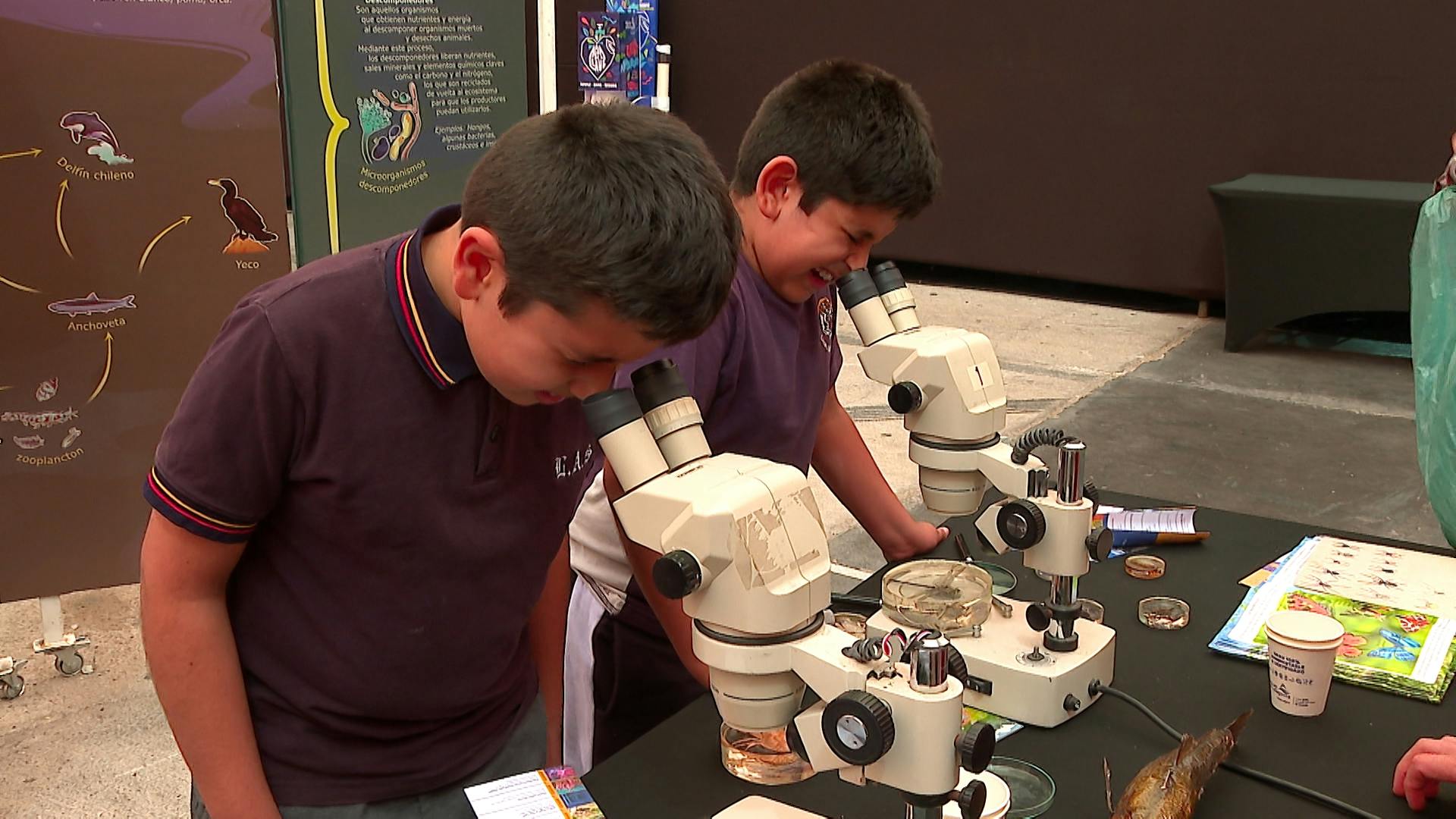 Continúa el festival de ciencias puertos de ideas