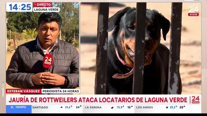 Adulto mayor se encuentra grave tras ser atacado por jauría de Rottweilers