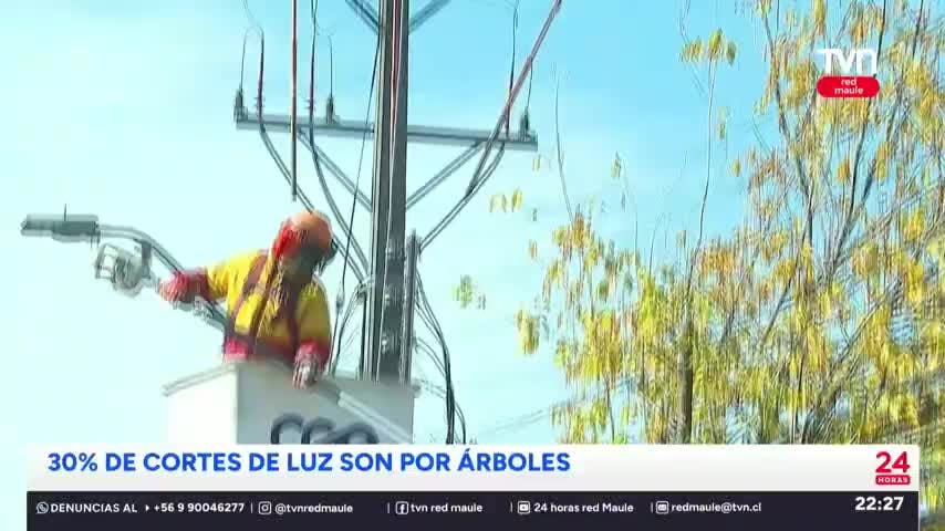 Lluvias intensas en poco tiempo: Maule se prepara para un invierno bajo presión