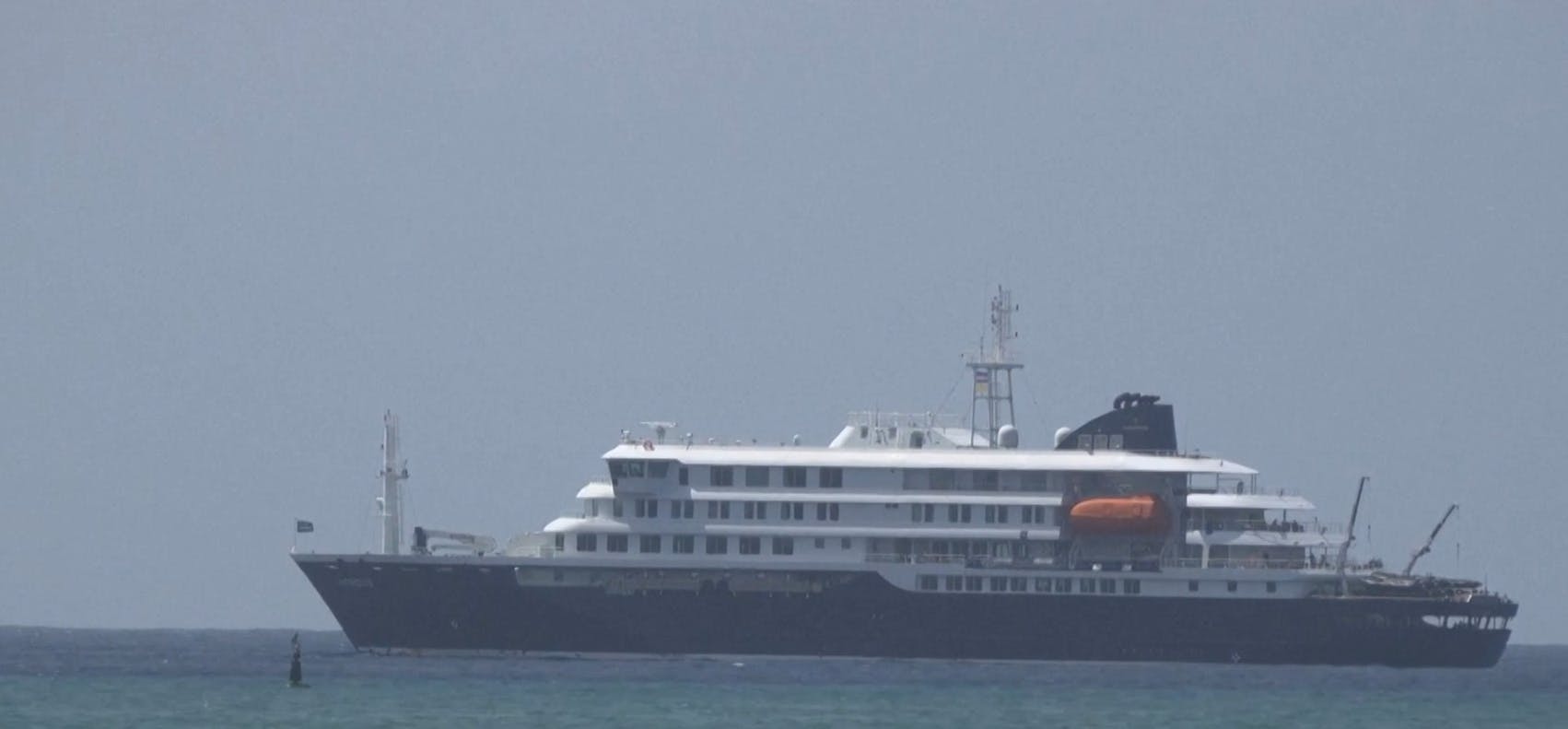Al menos tres muertos: ¿Qué se sabe del brote de hantavirus en crucero? 