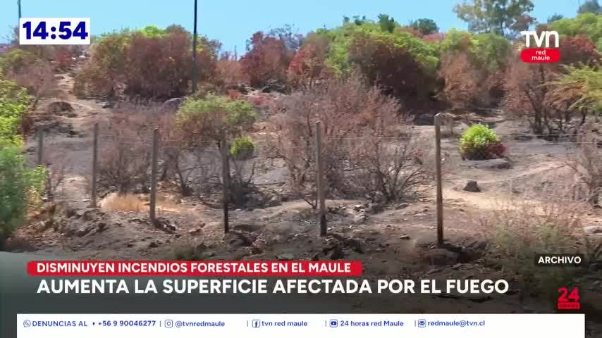 Disminuyen lo incendios forestales pero aumenta la superficie afectada