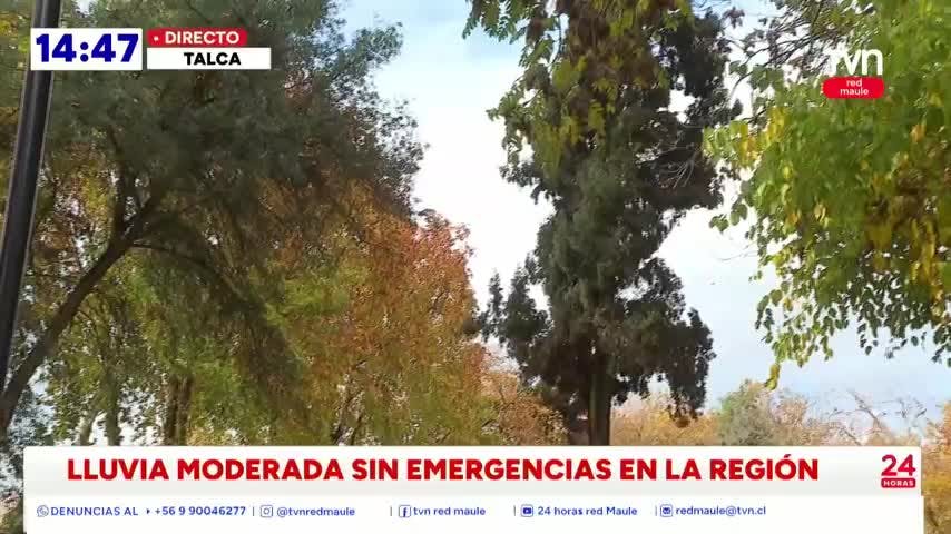 Región del Maule soportó sistema frontal