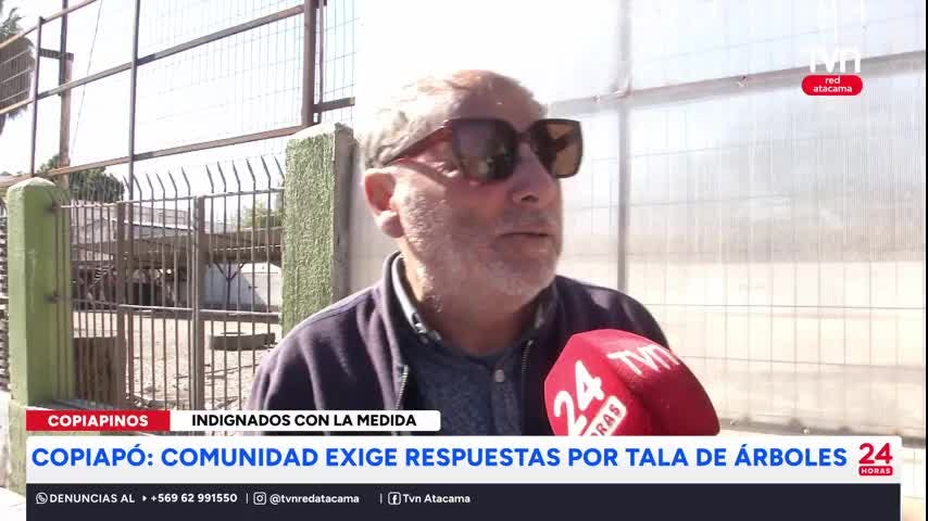 Tala de árboles en una ciudad con escasas áreas verdes