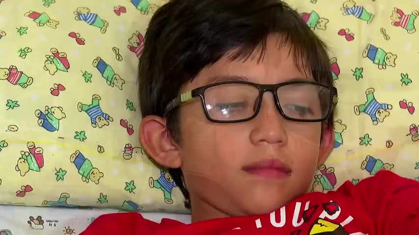 La historia de Lautaro: un niño que quiere ser apicultor pero es alérgico a las abejas