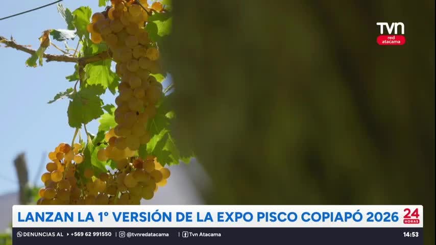 Lanzan la 1° versión de la Expo Pisco Copiapó 2026
