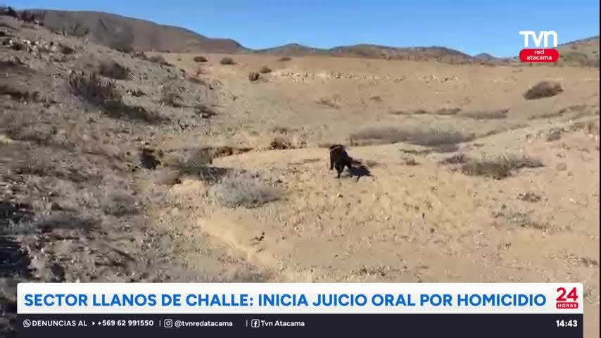 Sector Parque Llanos de Challe: Inicia juicio oral por homicidio