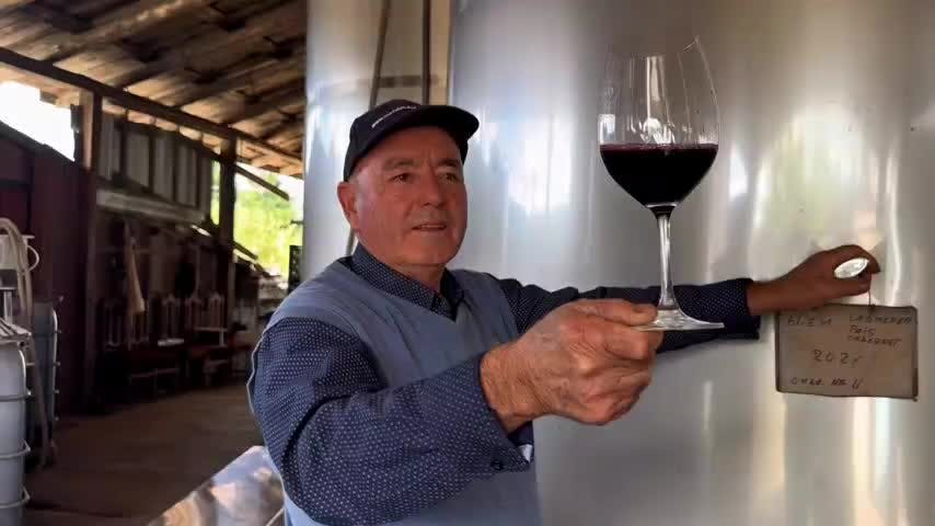 De Ñuble a China: viñateros de Valle del Itata exportan vino al gigante asiático