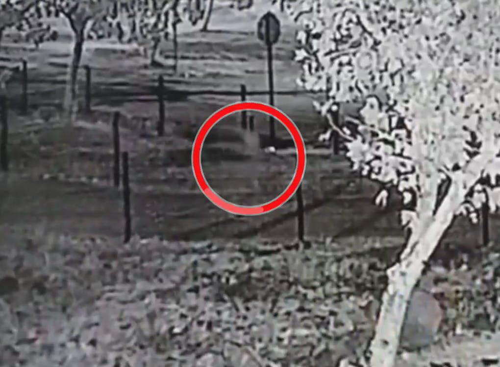 ¿Quién anda ahí?: Impactante video del Santuario Santa Teresa de los Andes 