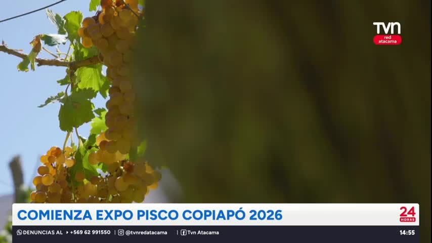 Comienza expo pisco Copiapó 2026