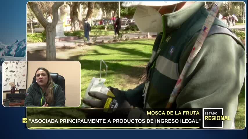 #EstadoRegional: Mei Maggi, Directora SAG Atacama