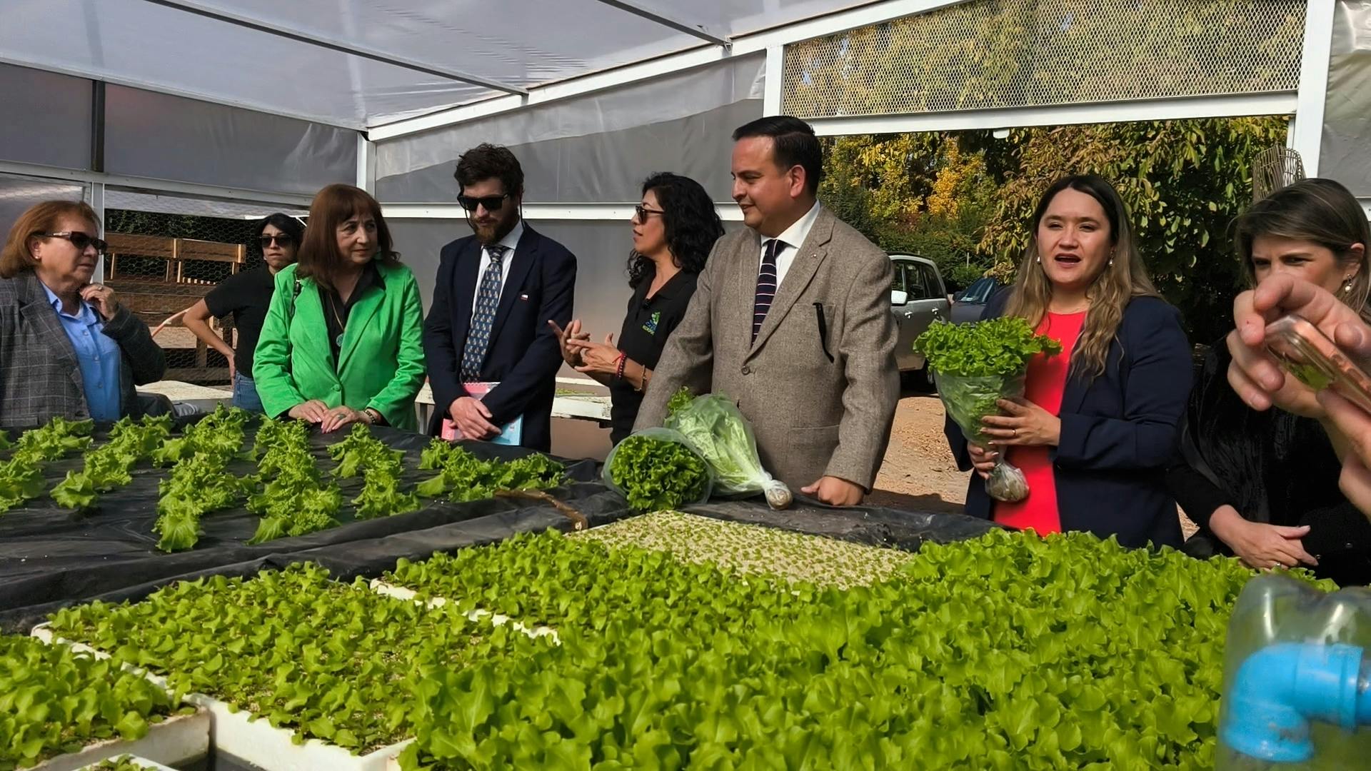 Abren convocatoria de Capital Abeja de Sercotec