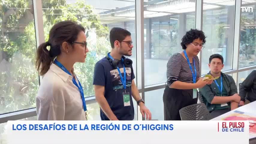 El Pulso de Chile: Región de O'Higgins - Domingo 24 de mayo 2026