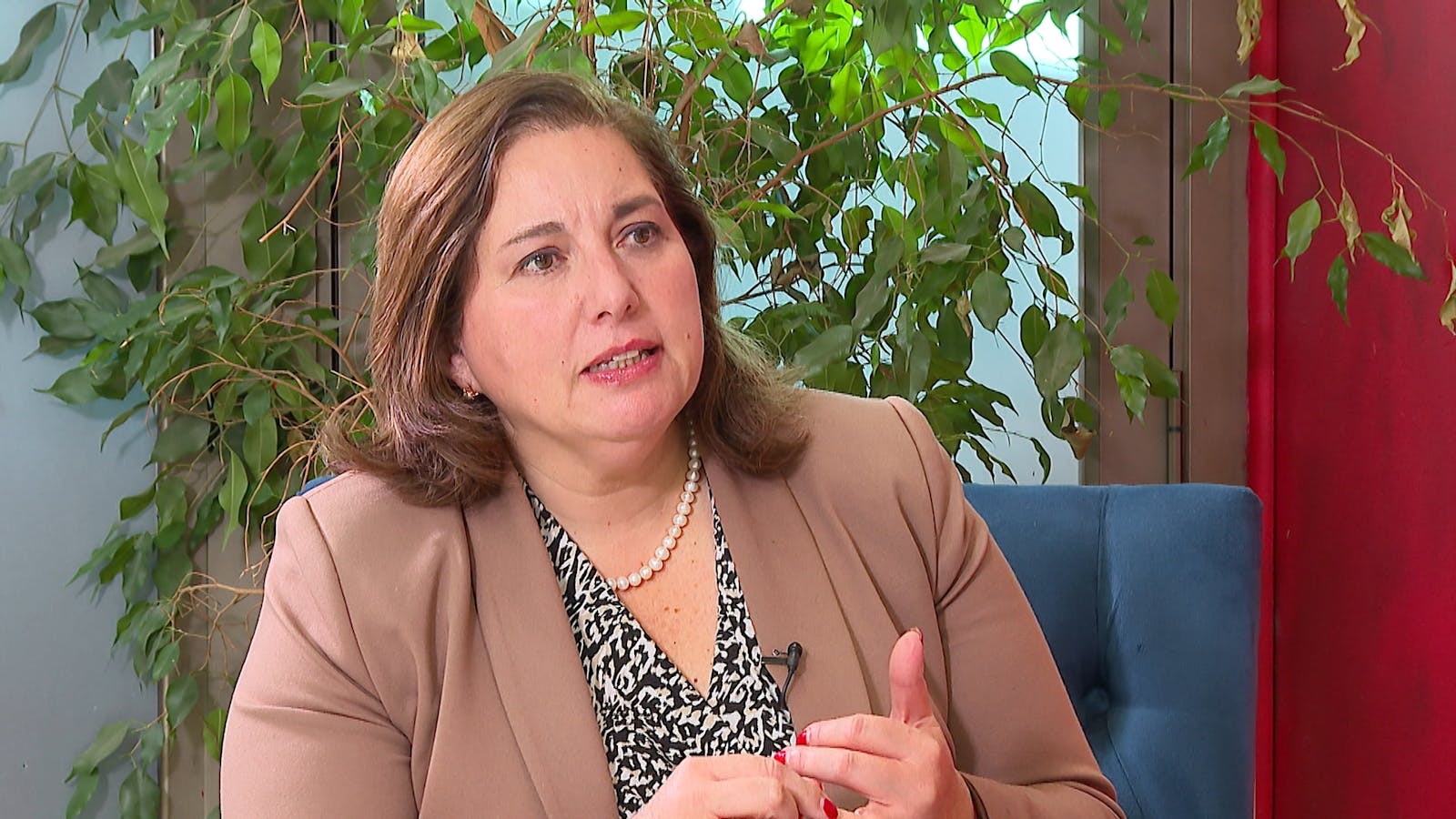 Paulina Vodanovic Rojas - Senadora - Viernes 29 de mayo 2026 episode artwork