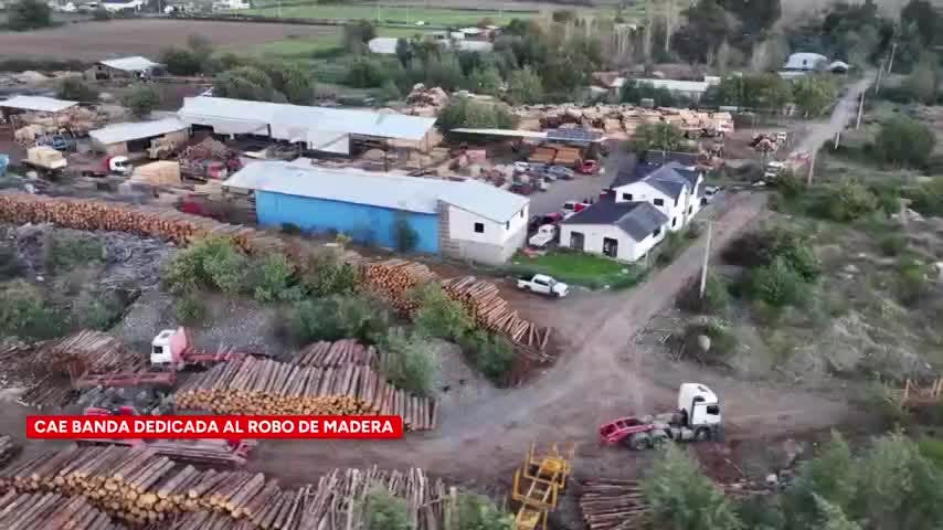 Histórico decomiso de madera robada en Chillán