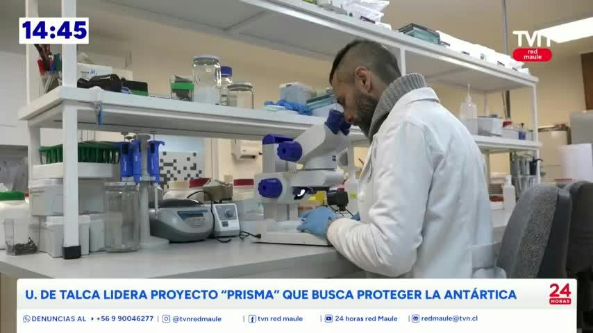 U. de Talca lidera proyecto "PRISMA" que busca proteger la Antártica