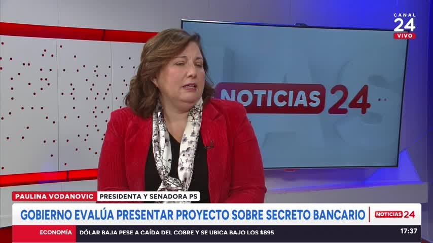 Senadora Vodanovic y secreto bancario: “No es para saber qué compramos en el supermercado, es para saber si hay depósitos irregulares”