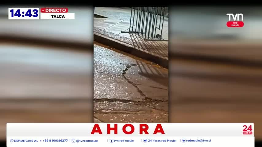Seremi fiscaliza carritos de completos tras video viral en Talca