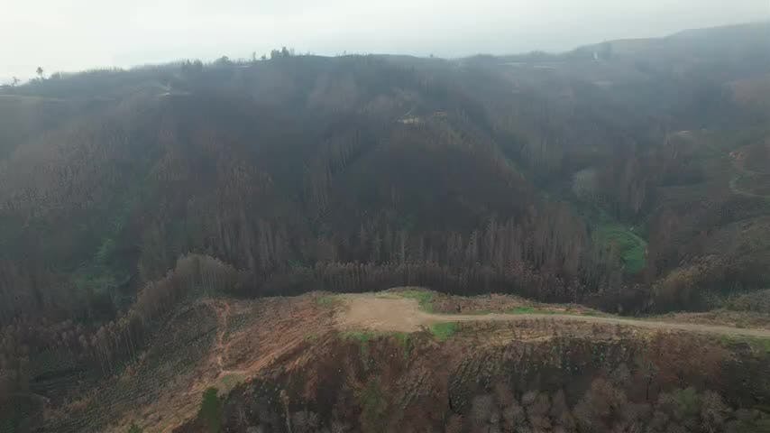 Cuál es el interés por extraer tierras raras en Penco