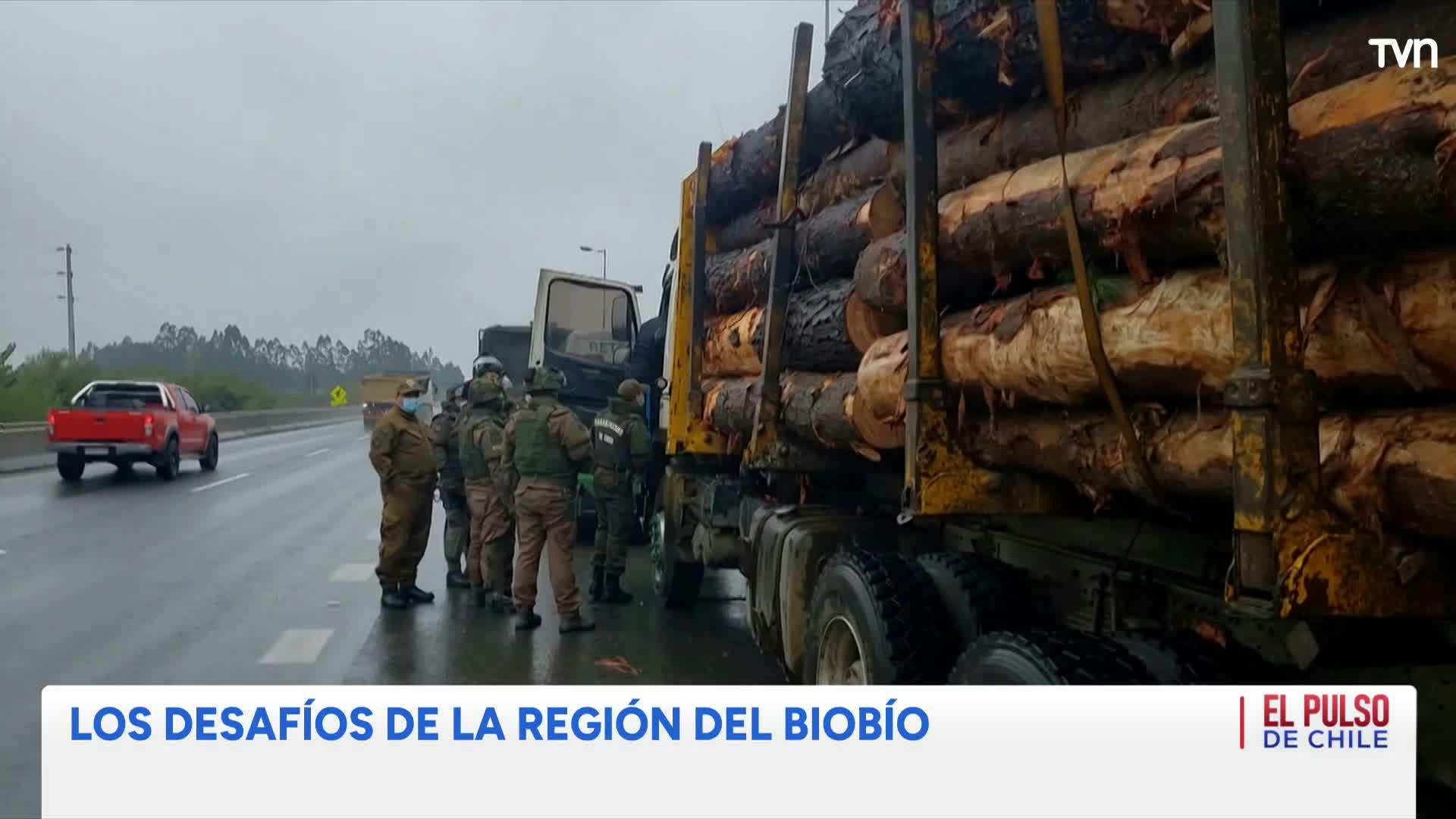 El Pulso de Chile: Brechas y desafíos de la región del Biobío