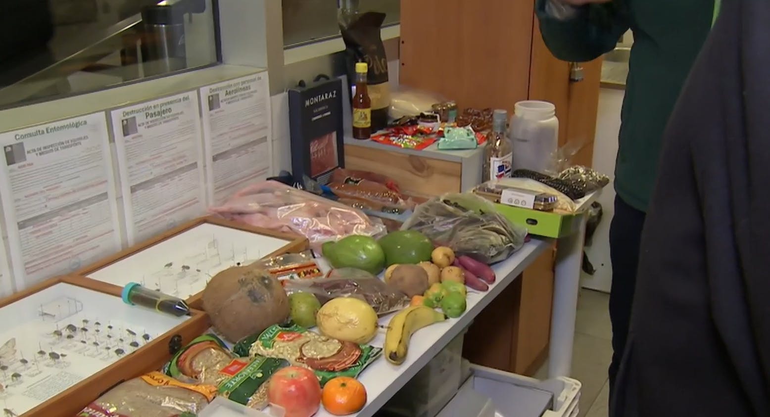 Cuy frito, carne de conejo y mango con larvas: Los insólitos hallazgos decomisados por el SAG en el aeropuerto 