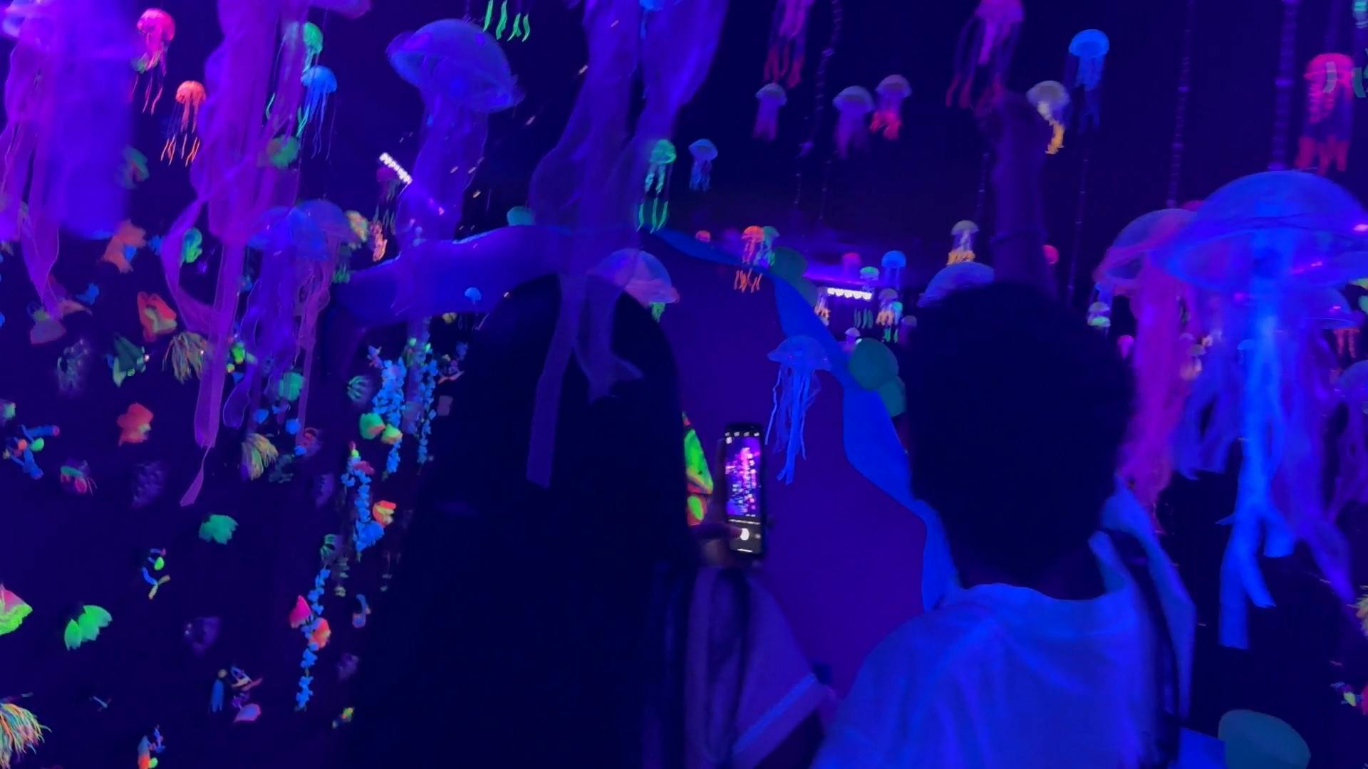 Cartelera de espectáculos: experiencia interactiva en inmersiva love up ya está en Antofagasta