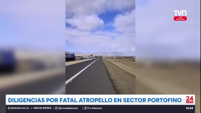 Chañaral: Investigan fatal atropello en sector Portofino