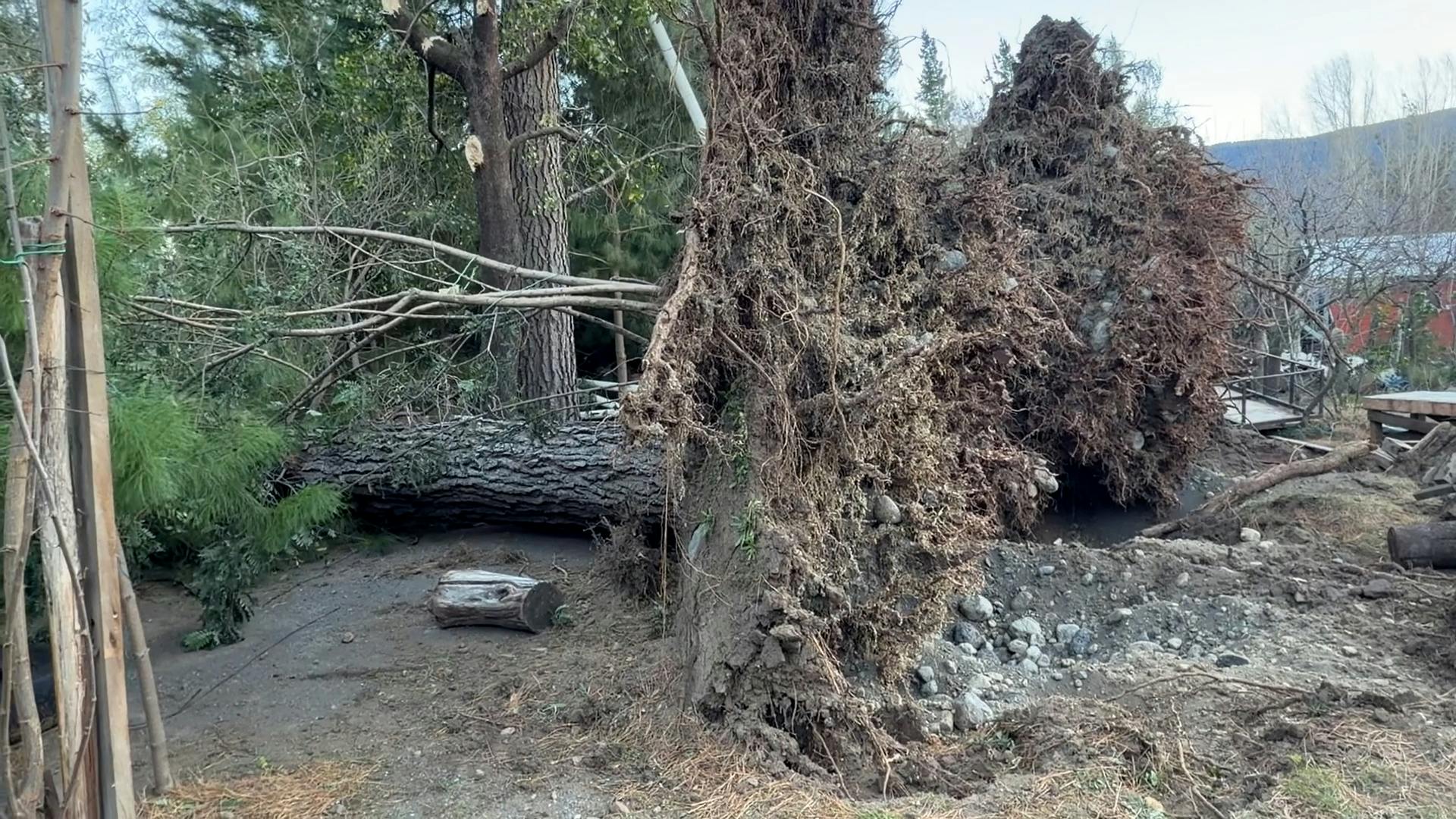 Decretan Alerta Amarilla tras inusual viento puelche