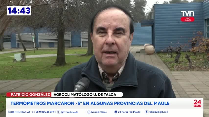 24 Horas Al Día Red Maule Jueves 2 de julio