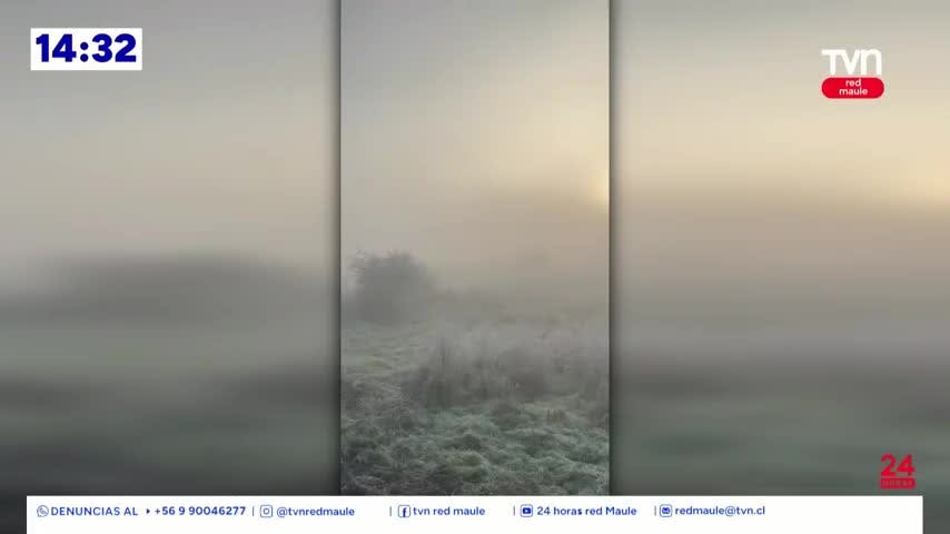 Ola de frío mantiene temperaturas bajo cero en el Maule