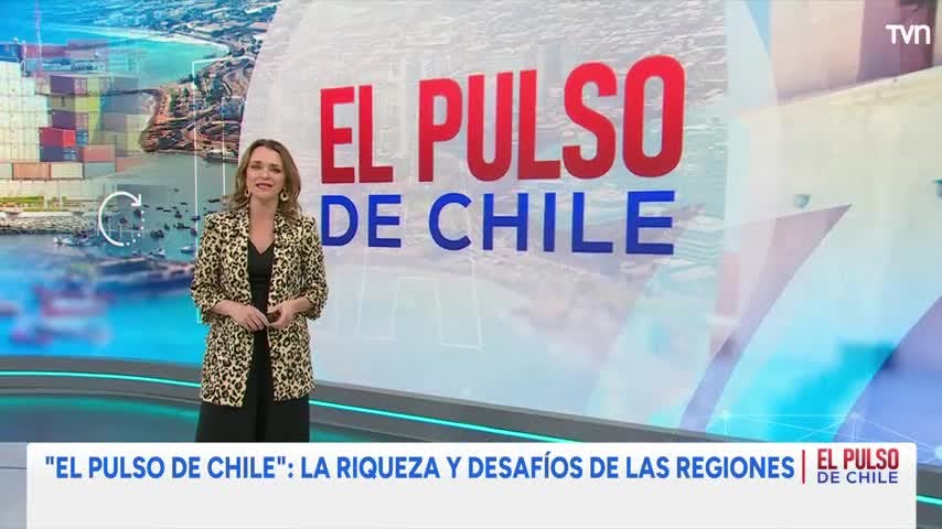El Pulso de Chile: Brechas y desafíos de la región de Tarapacá