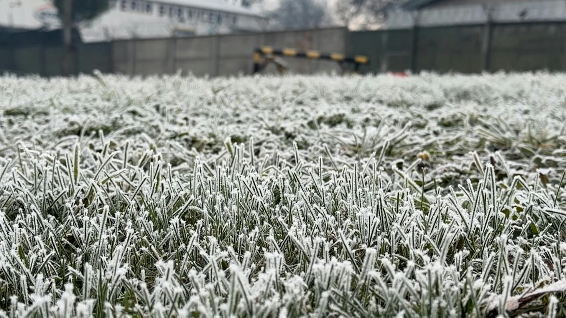 -5,4°C se registraron este lunes en Mulchén