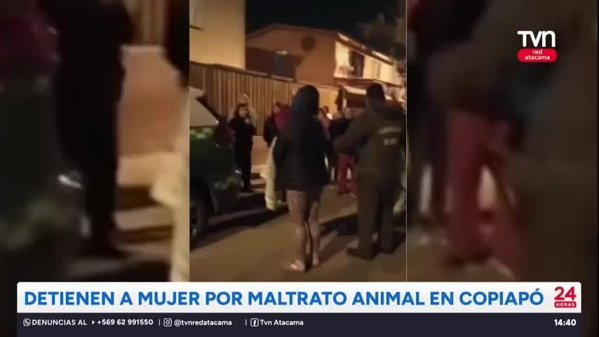 Detienen a mujer por maltrato animal en Copiapó