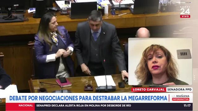 Senadora Carvajal (PPD) por Megarreforma: "Dejar la mayoría de las materias al destino del TC es el todo o nada"