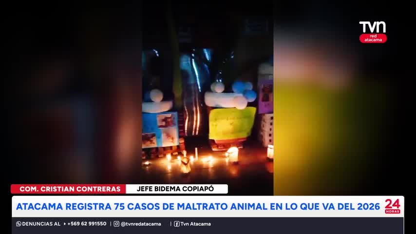 Se han registrado 75 casos de maltrato animal en Atacama