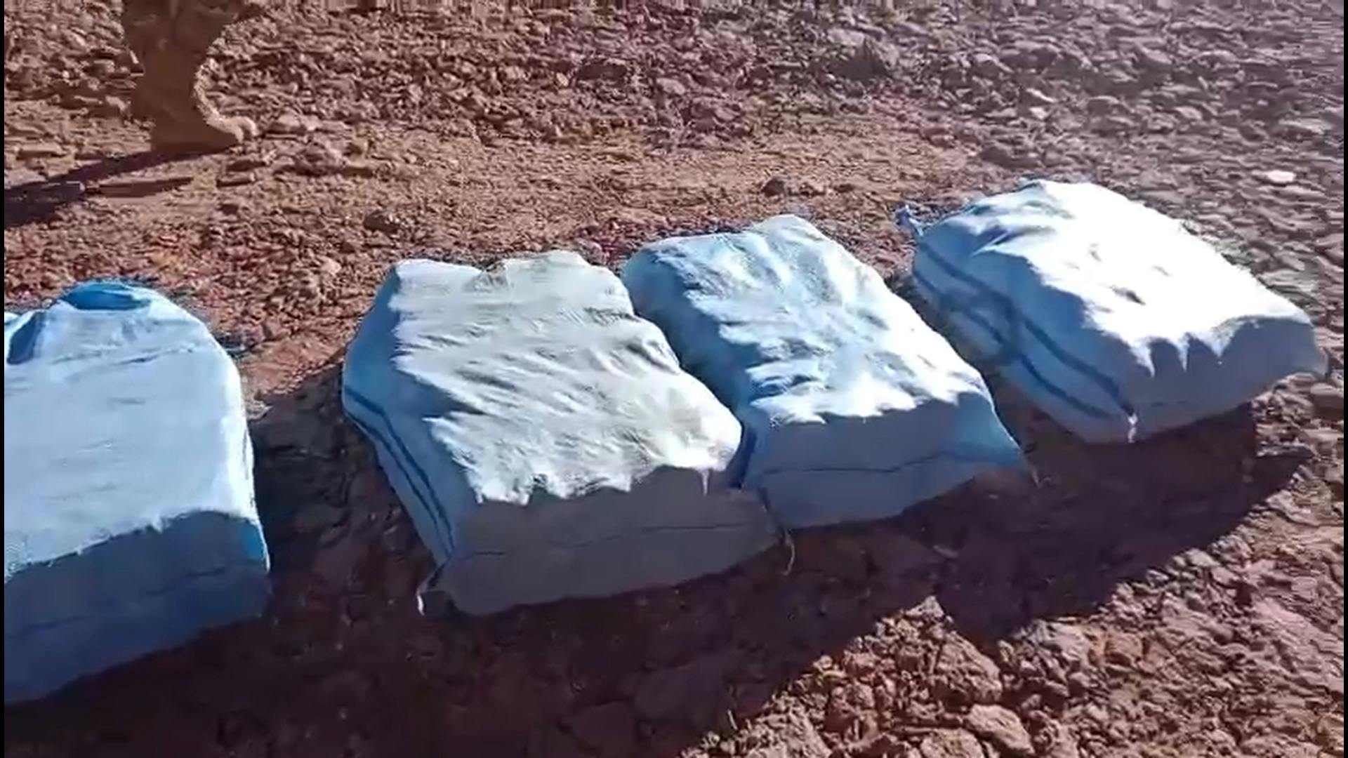 Más de una tonelada de droga fuera de circulación