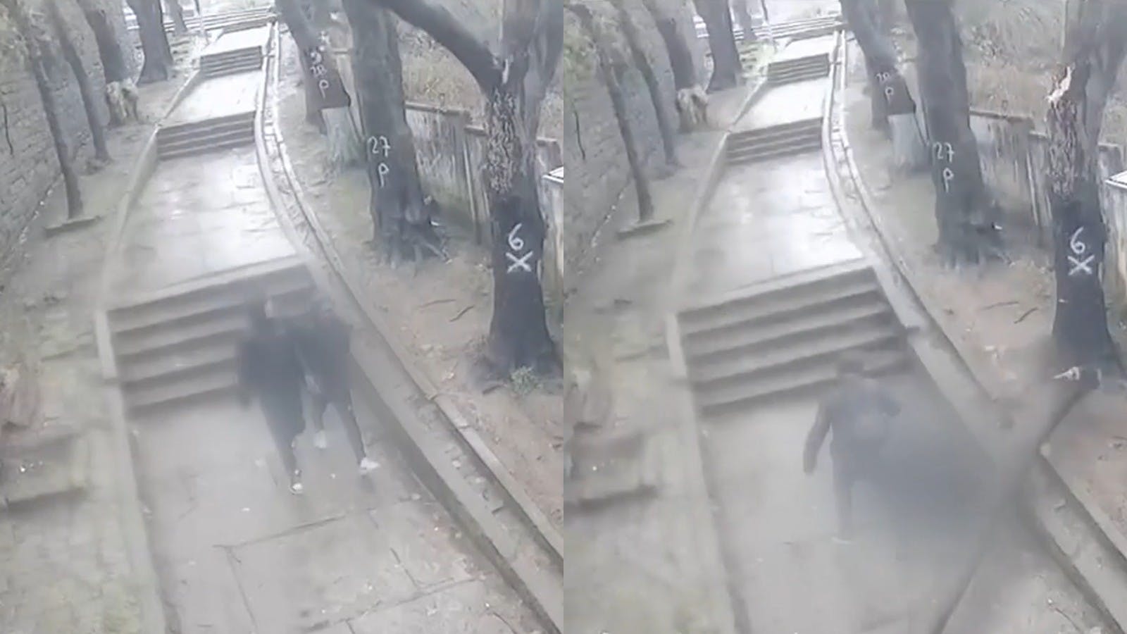 Adolescente sufre lesiones tras ser golpeado por rama de árbol por fuertes vientos 