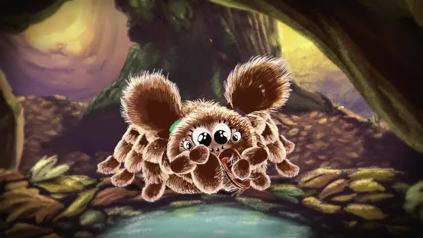 Animales de mi Tierra: “Llica, la araña pollito”