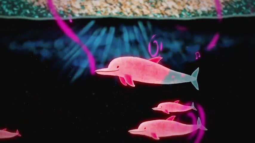 Animales de mi Tierra: “Yeyekevo, el delfín rosado”