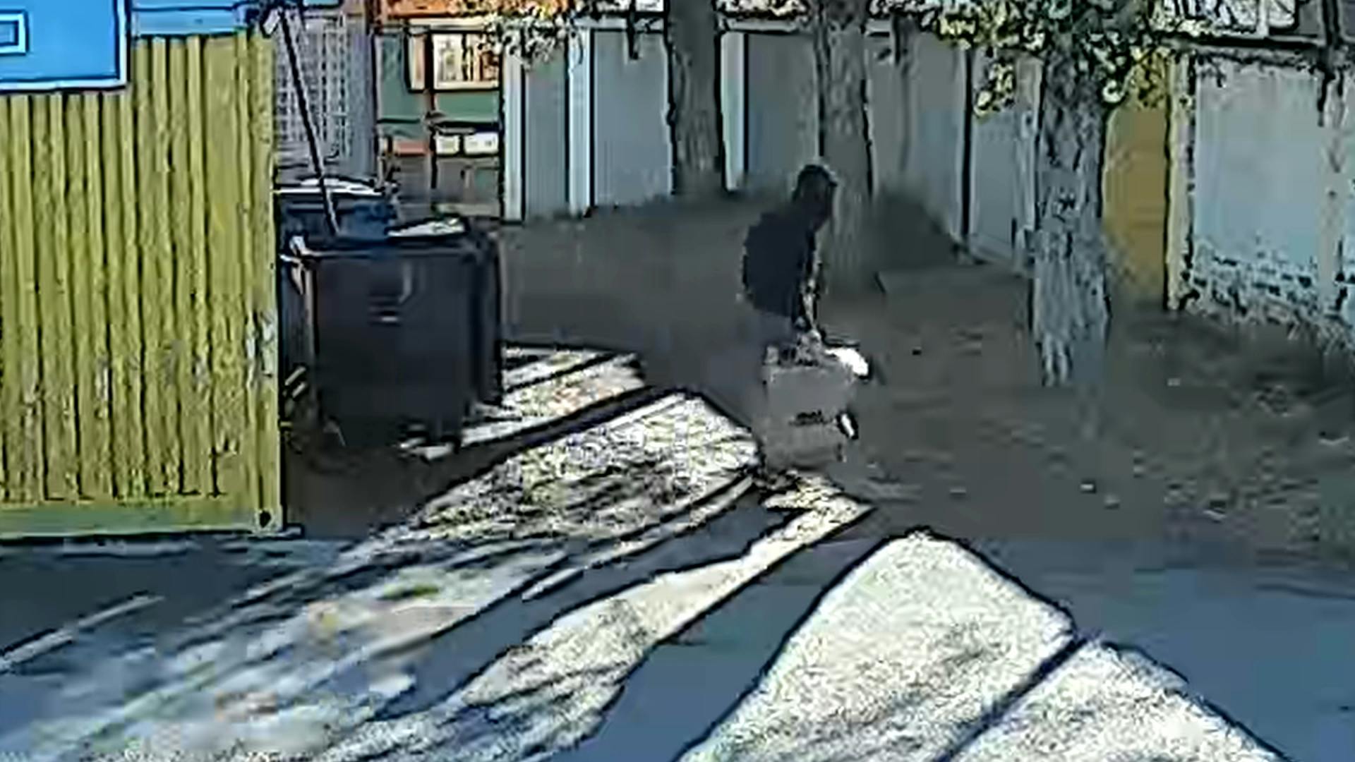 Descarados robos afectan a escuela en Viña del mar